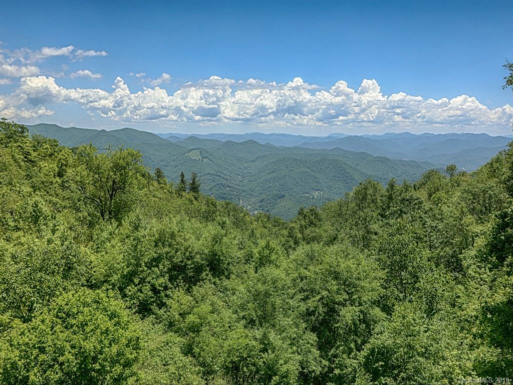 4390 Parris Branch Road Sylva, NC 28779 - Photo 3 of 25 Gallery Image 3
