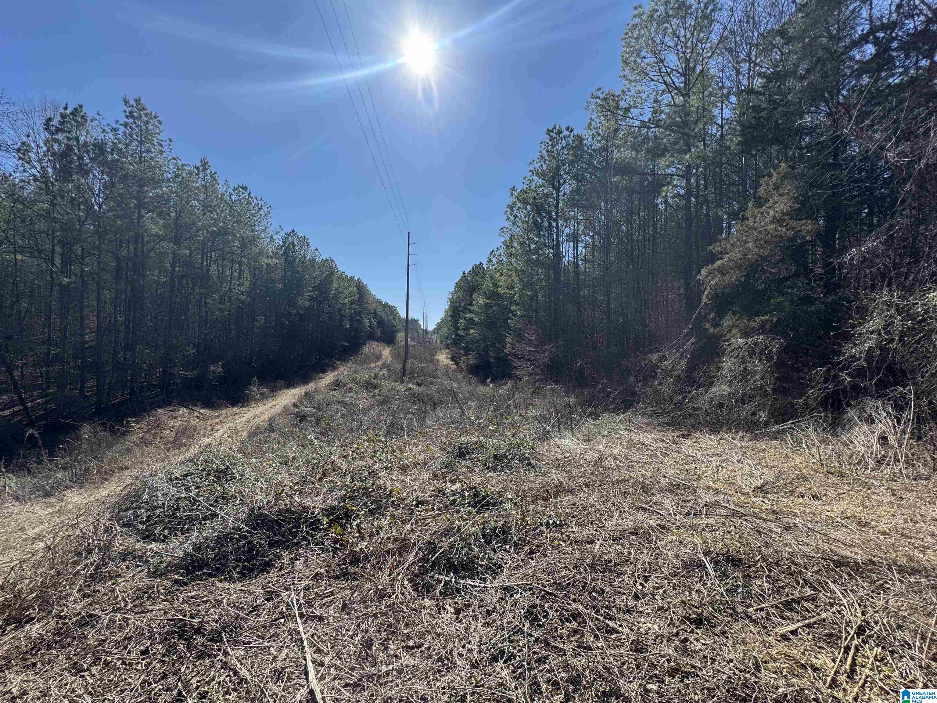 0 Booler Road Vance, AL 35490 - Photo 15 of 19