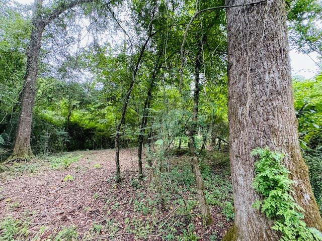 Tbd East Lexie Road Tylertown, MS 39667 - Photo 22 of 42 Photo 22