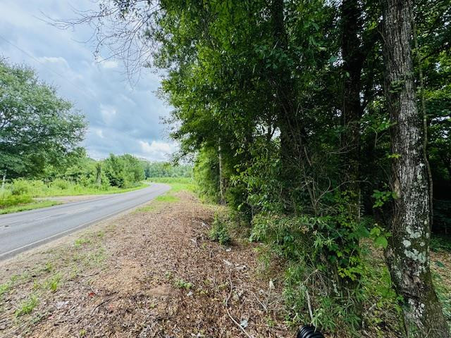 Tbd East Lexie Road Tylertown, MS 39667 - Photo 39 of 42 Photo 39