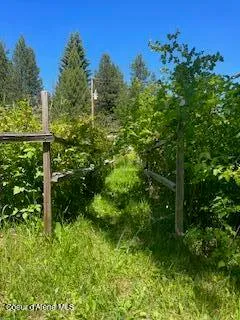 $499,000 | 890 Pokey Creek Road, Fernwood, ID 83830