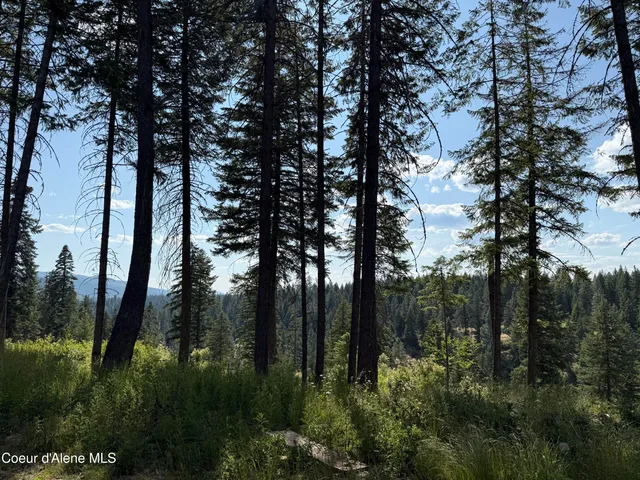 $499,000 | 890 Pokey Creek Road, Fernwood, ID 83830