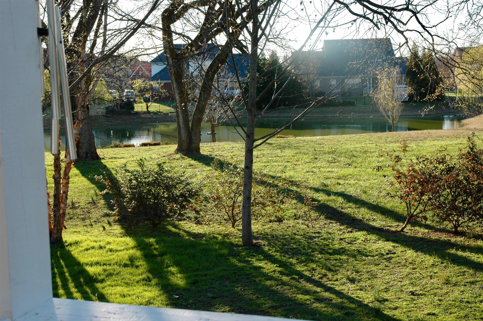 1604 Fair House Road Spring Hill, TN 37174 - Photo 17 of 18 a view of a yard with an trees