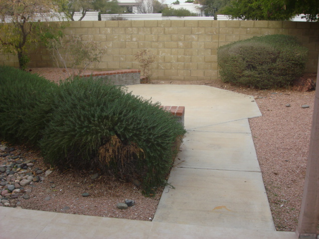1232 East Redfield Road Phoenix, AZ 85022 - Photo 15 of 16 Backyard