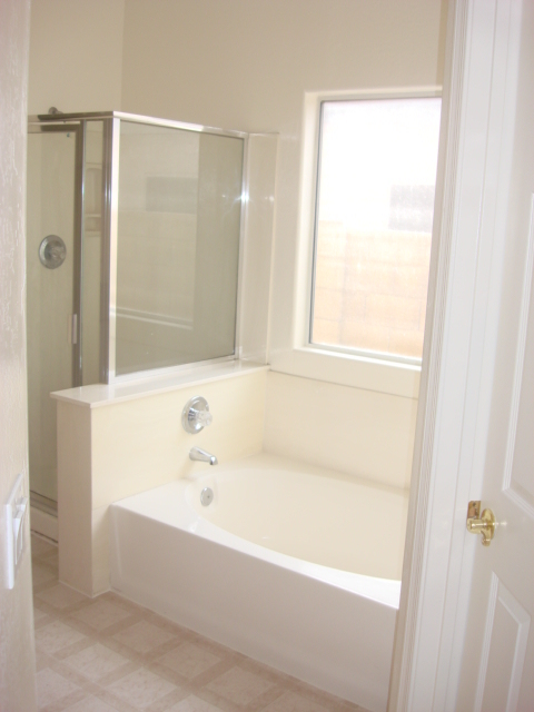 1232 East Redfield Road Phoenix, AZ 85022 - Photo 7 of 16 Master Bathroom