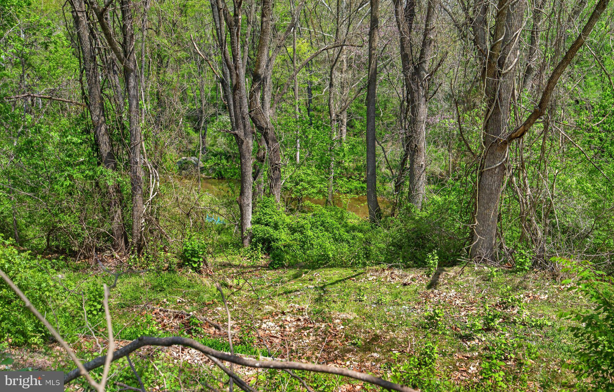 45 Latham Road Nottingham, PA 19362 - Photo 55 of 83 Lush woodland path beckons adventure.
