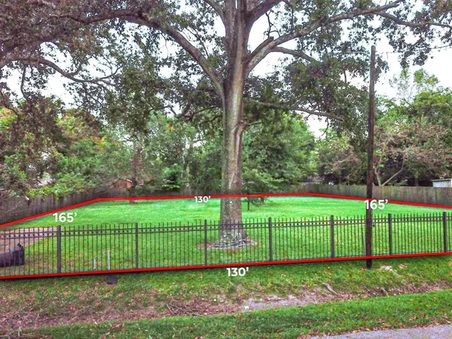 a view of a park with a large trees