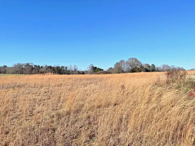 $179,900 | 0 Mt Lebanon Road, Inman, SC 29349