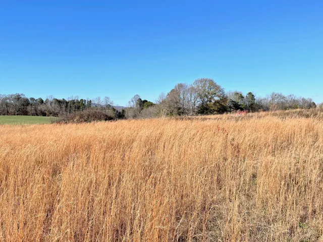 $179,900 | 0 Mt Lebanon Road, Inman, SC 29349