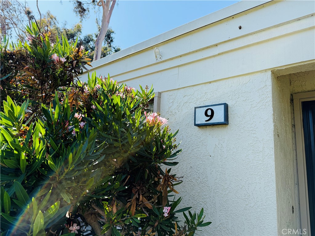 9 Morena, Unit 28 Irvine, CA 92612 - Photo 3 of 27 a view of a potted plant on a wall