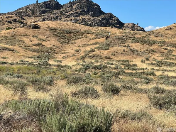 $84,009 | Lot 3 Gunsmoke Road, Brewster, WA 98812