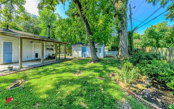 a backyard of a house with plants and large tree