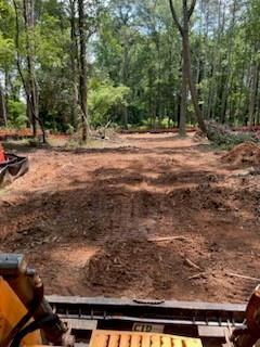 264 Juliet Lane Southwest Marietta, GA 30008 - Photo 5 of 5 a view of dirt yard with a large tree