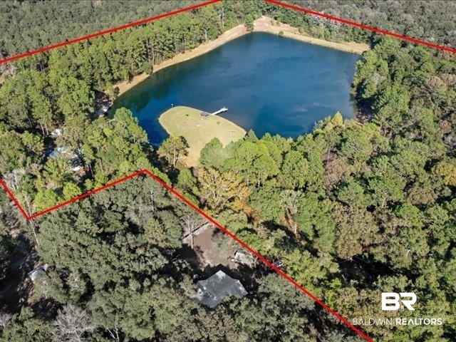 4650 Wiggins Lane Wilmer, AL 36587 - Photo 64 of 66 Aerial view of property's location with a large body of water and property boundaries highlighted