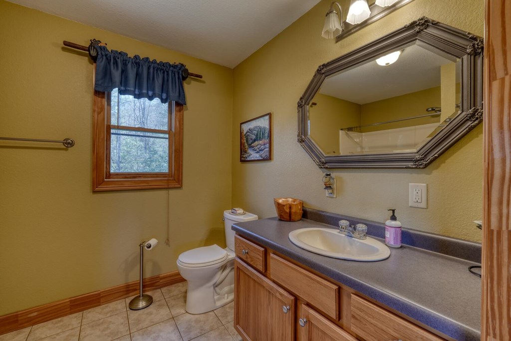 4852 Hf Lyons Road Hiawassee, GA 30546 - Photo 28 of 48 a bathroom with a sink and a mirror