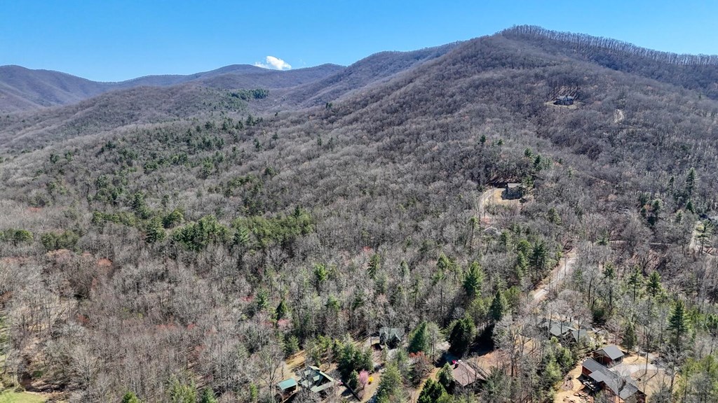 4852 Hf Lyons Road Hiawassee, GA 30546 - Photo 46 of 48 a aerial view of mountain and tree