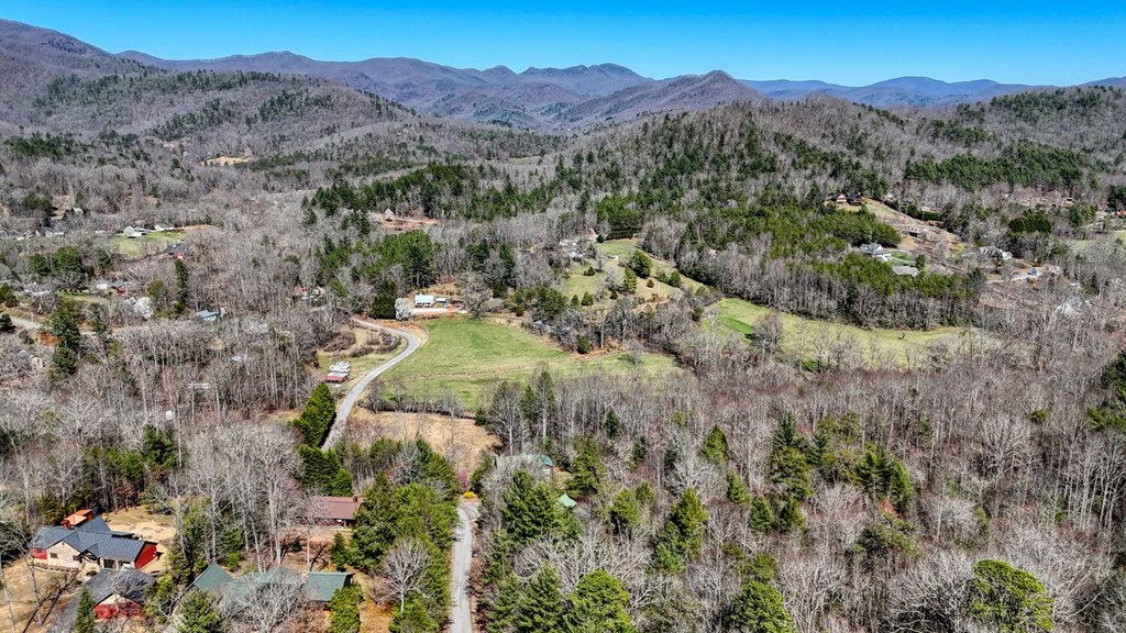 4852 Hf Lyons Road Hiawassee, GA 30546 - Photo 48 of 48 an aerial view of a house with mountain view