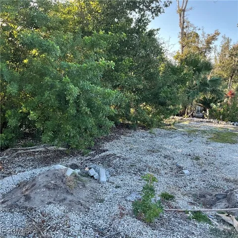 a view of a yard with a tree