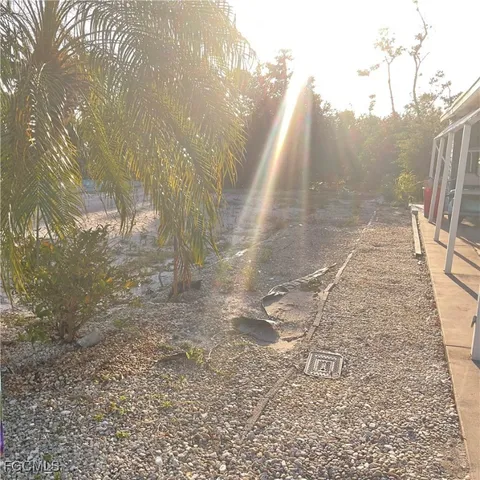 a view of a yard with trees