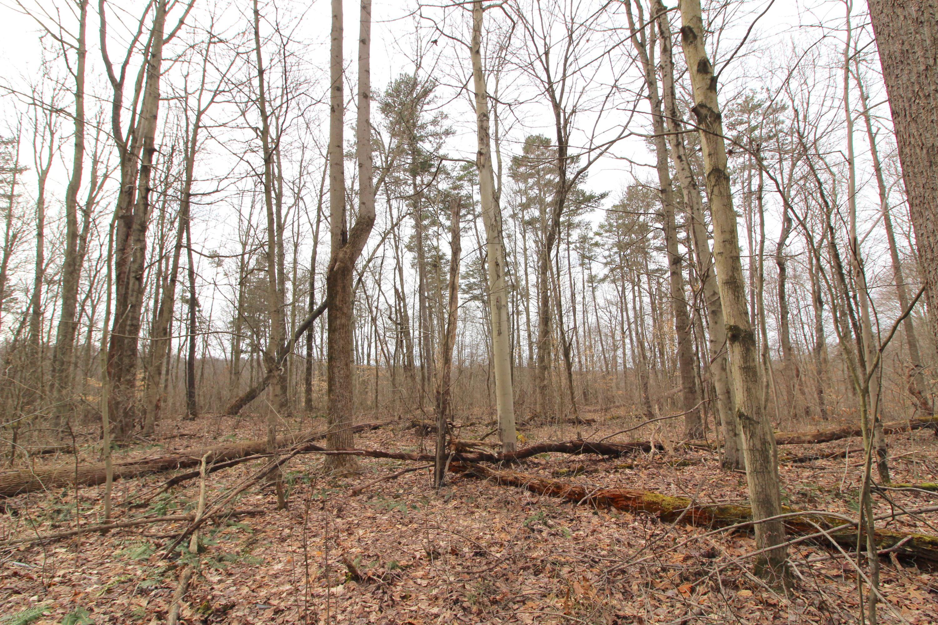 0 County Road New Matamoras, OH 45767 - Photo 12 of 18