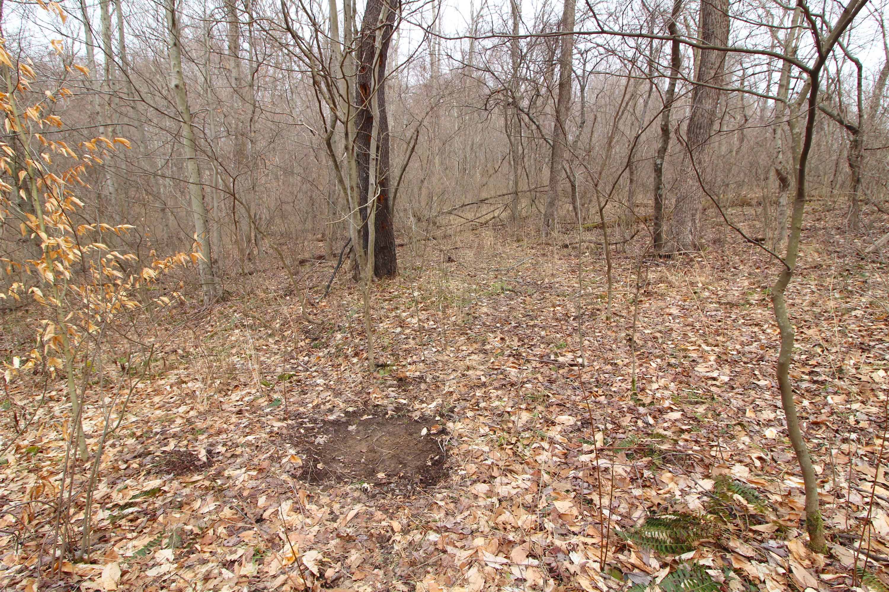 0 County Road New Matamoras, OH 45767 - Photo 13 of 18