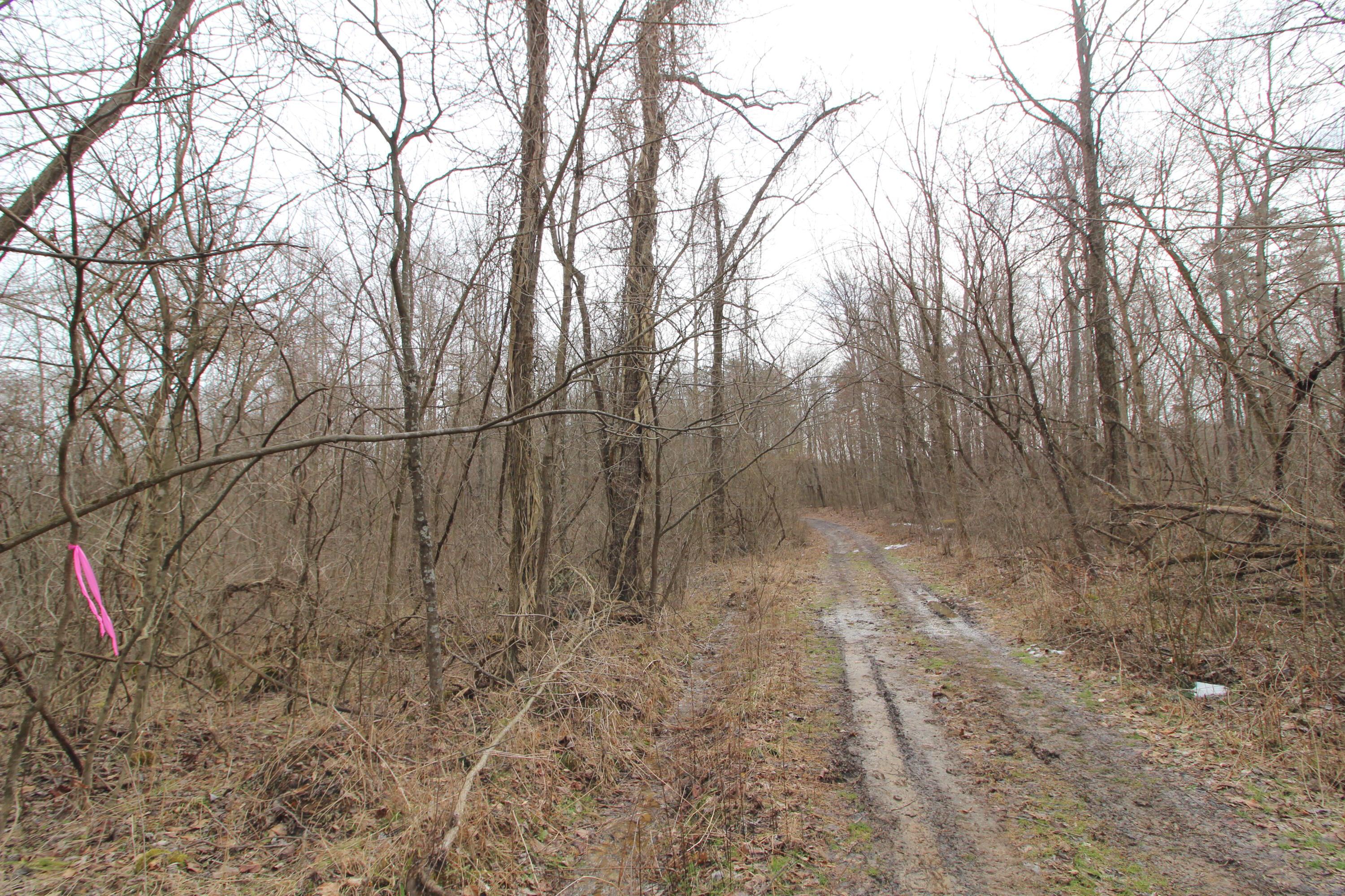 0 County Road New Matamoras, OH 45767 - Photo 14 of 18