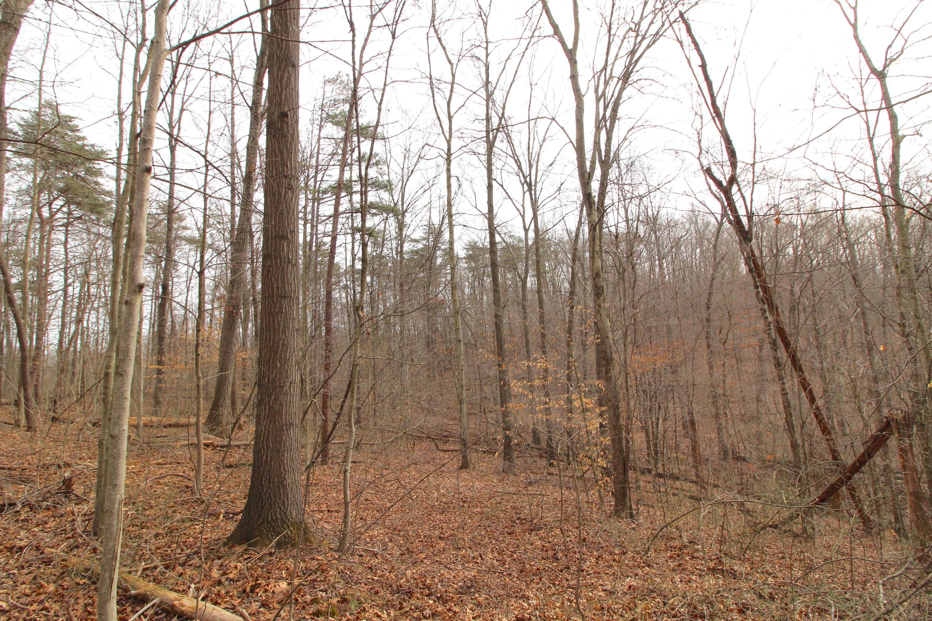 0 County Road New Matamoras, OH 45767 - Photo 15 of 18