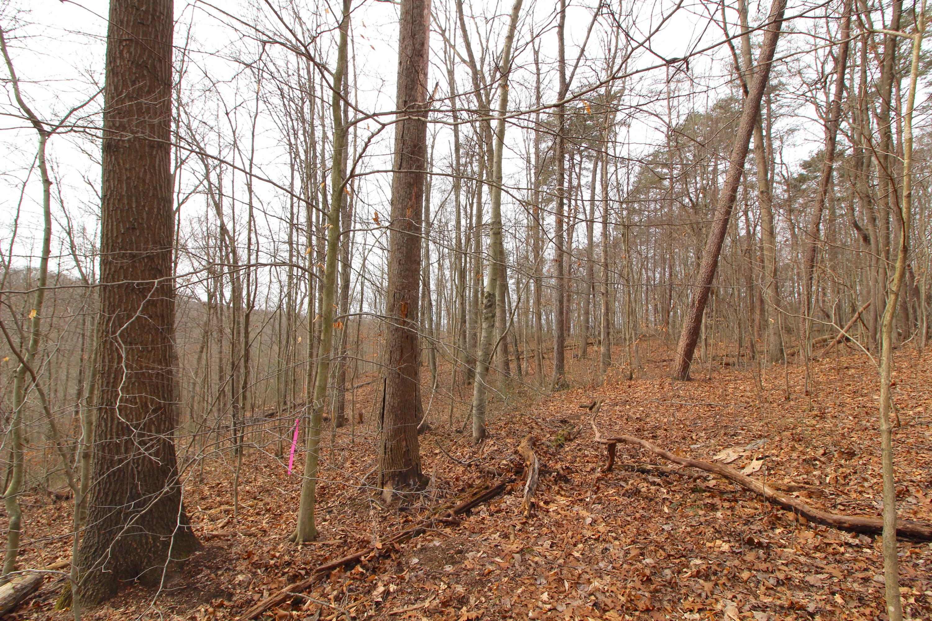 0 County Road New Matamoras, OH 45767 - Photo 16 of 18