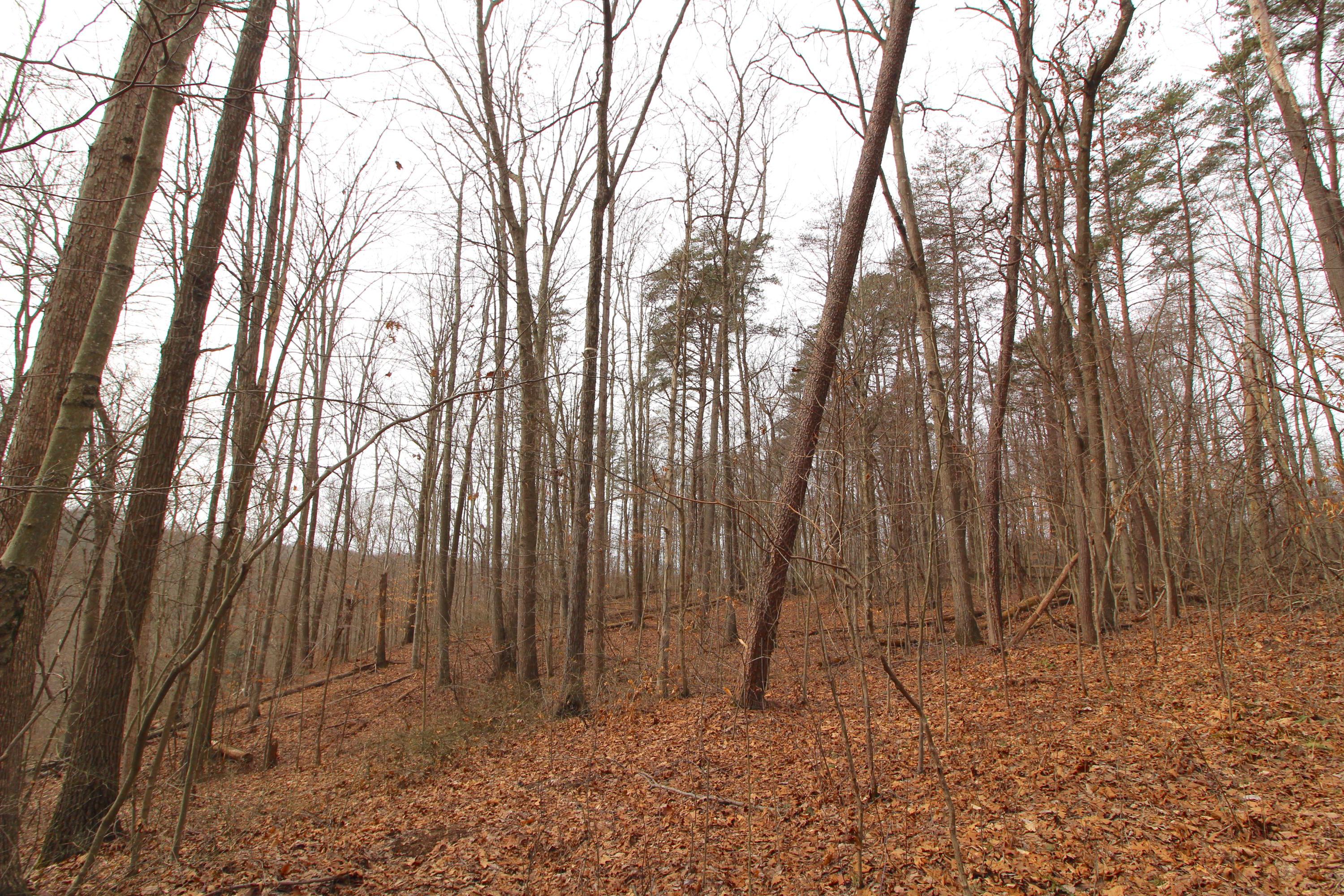 0 County Road New Matamoras, OH 45767 - Photo 18 of 18
