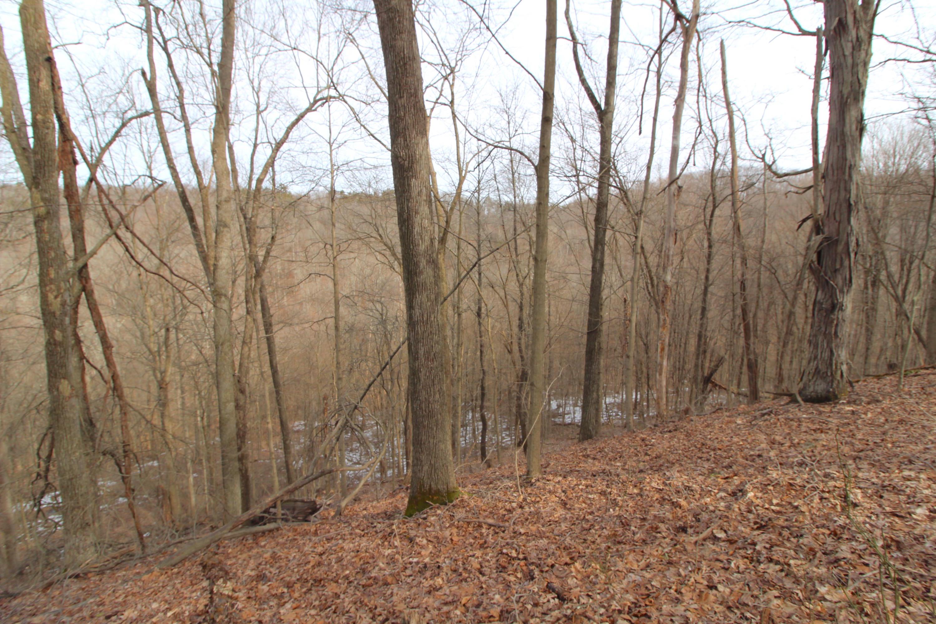 0 County Road New Matamoras, OH 45767 - Photo 4 of 18