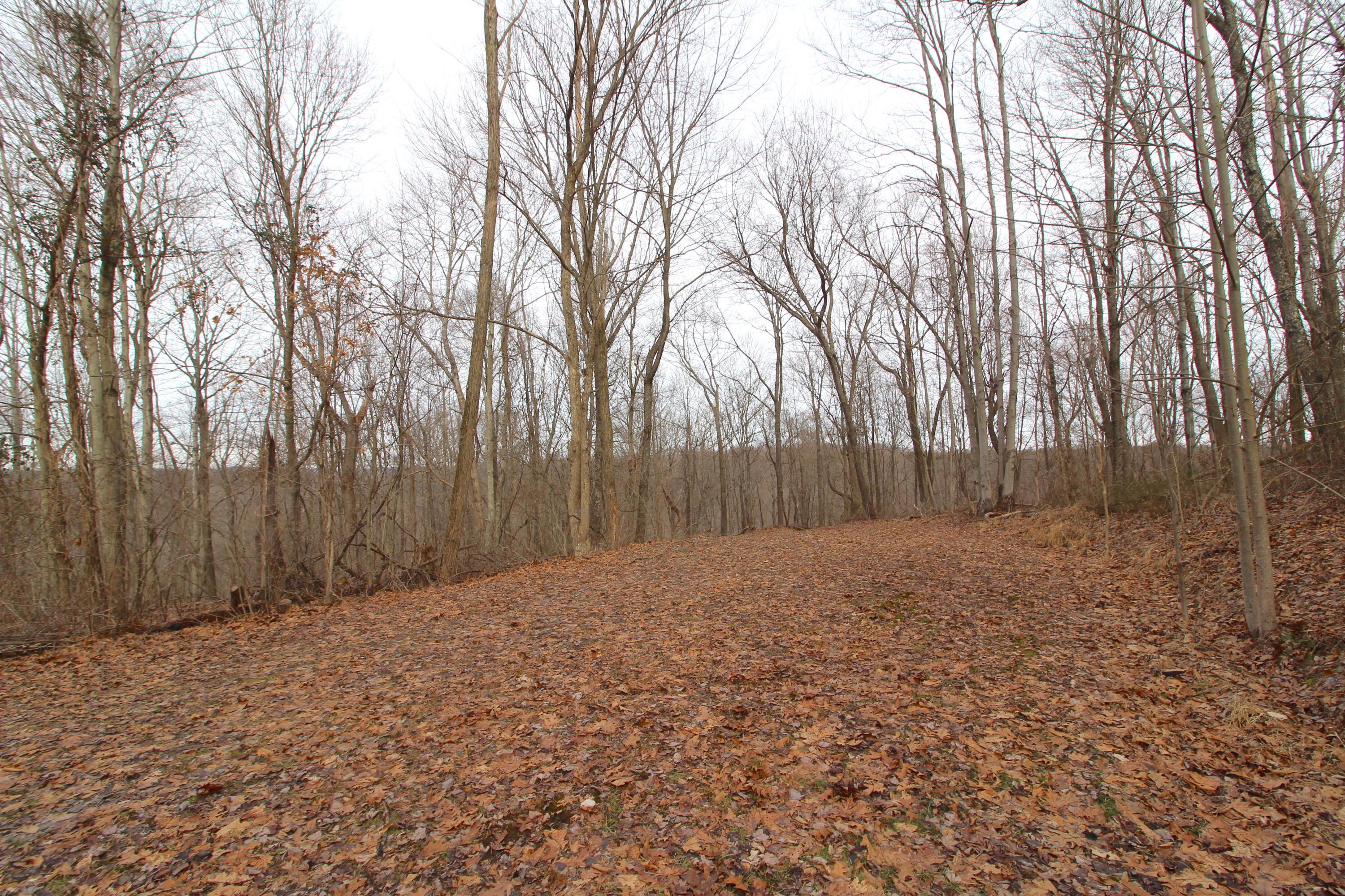0 County Road New Matamoras, OH 45767 - Photo 7 of 18