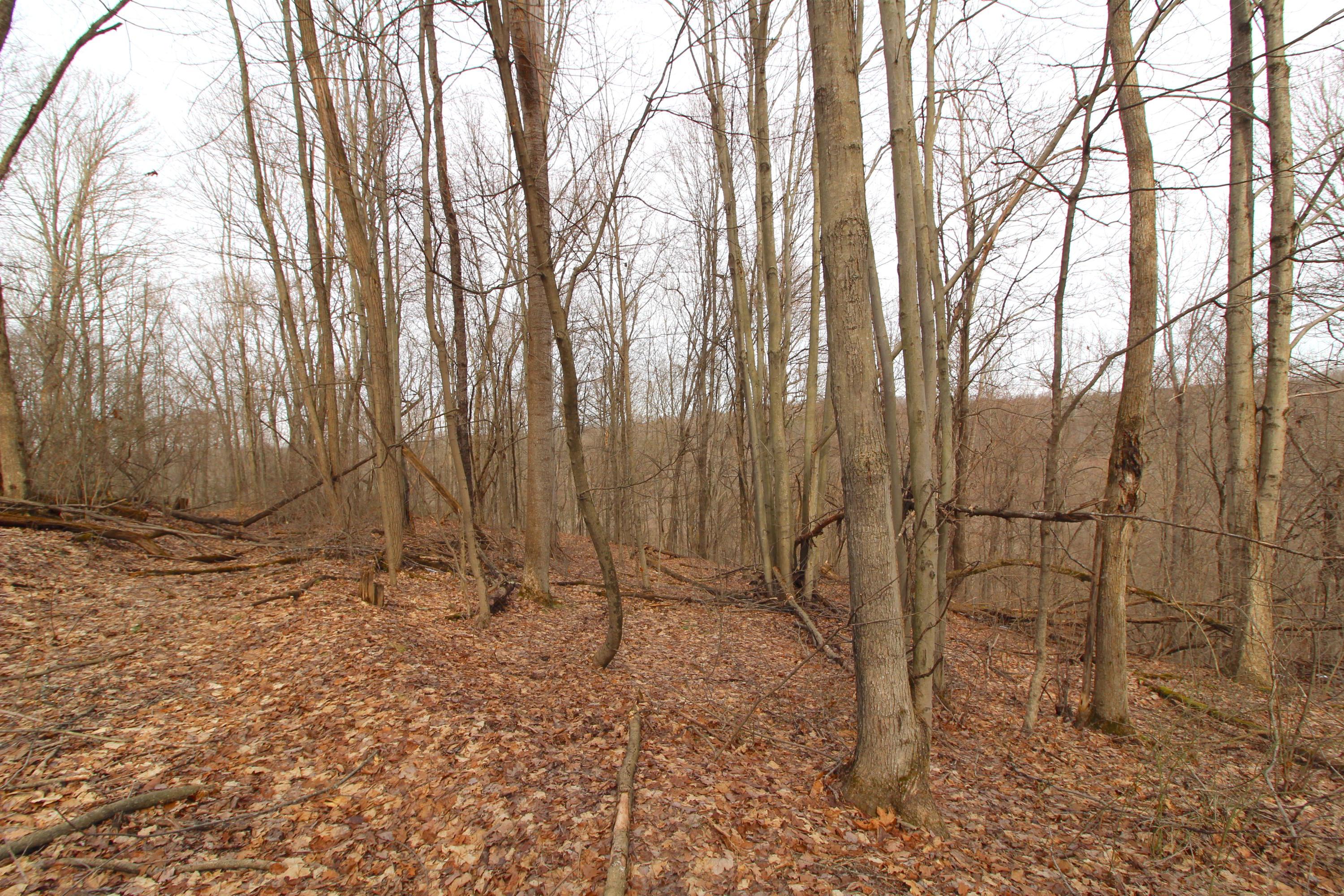 0 County Road New Matamoras, OH 45767 - Photo 8 of 18