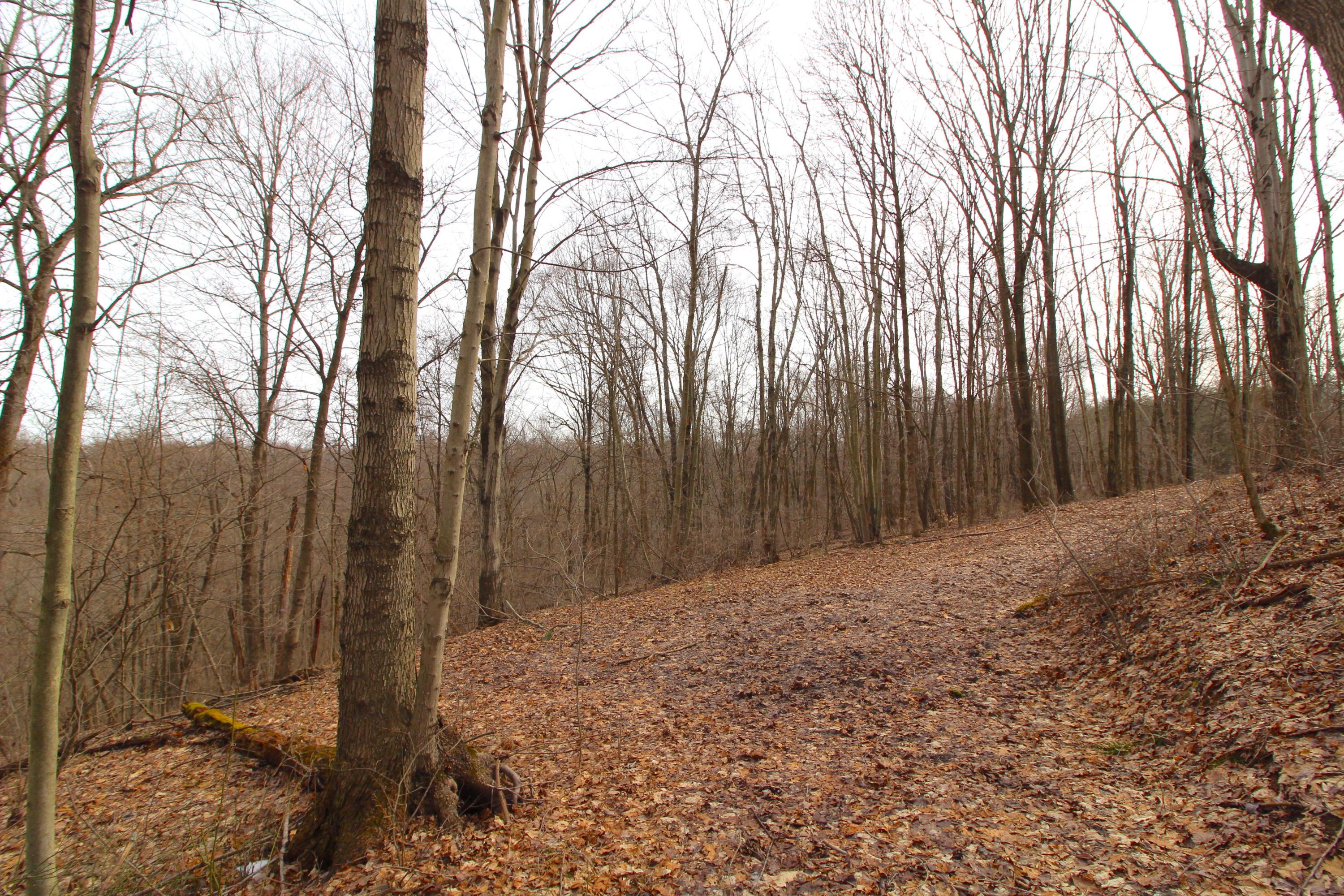 0 County Road New Matamoras, OH 45767 - Photo 9 of 18
