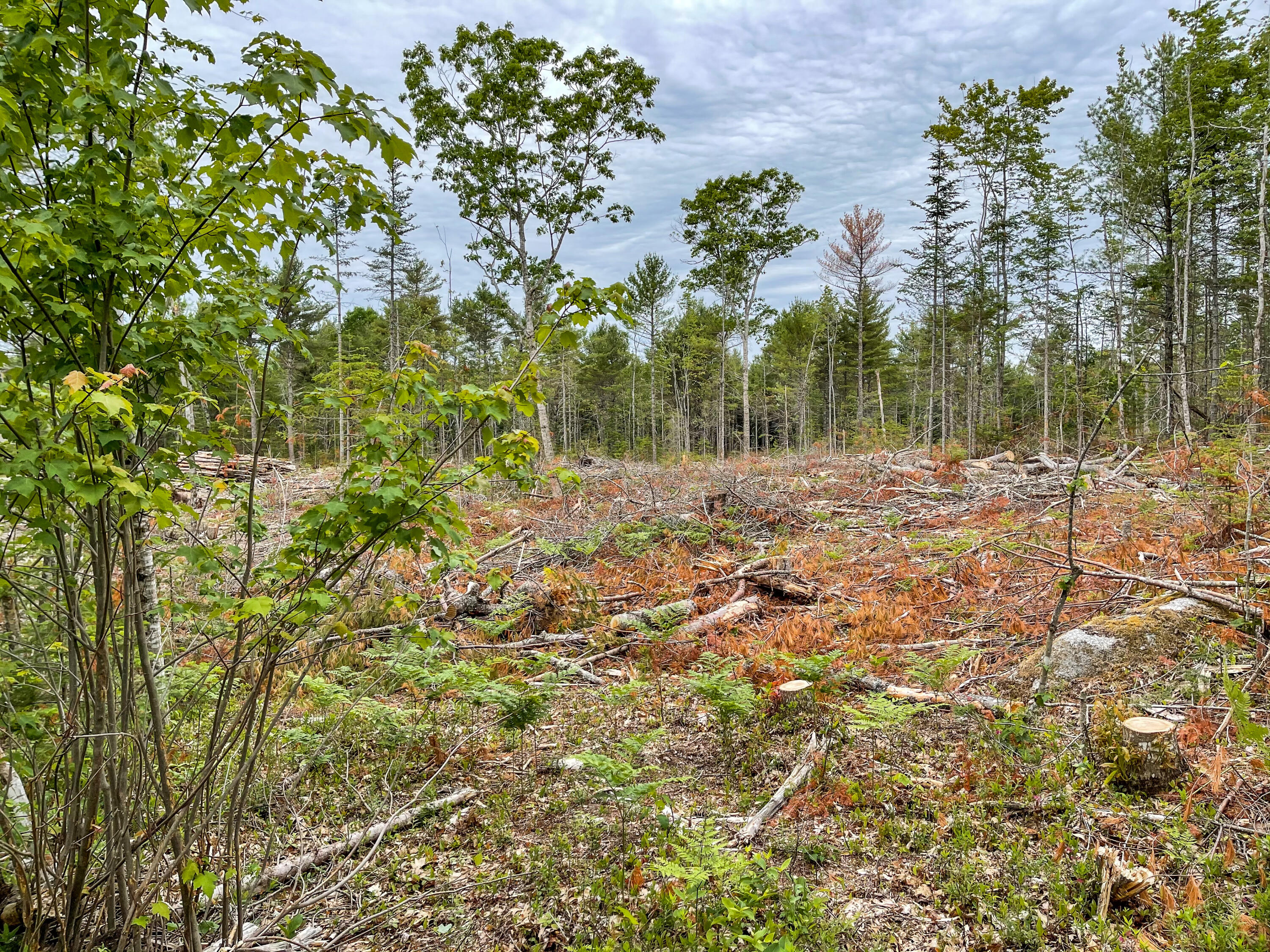 Lot 16 Granite Rock Circle Road Surry, ME 04684 - Photo 3 of 4 JC-5