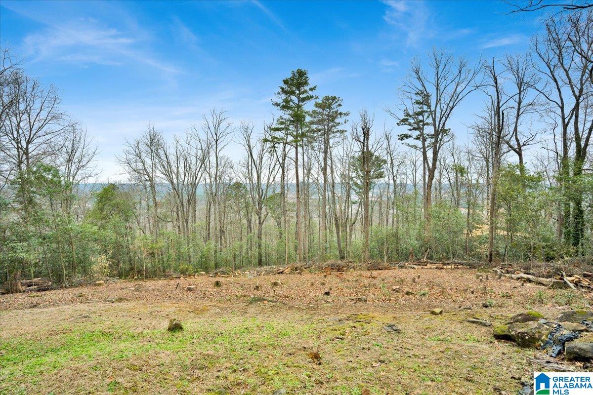 1042 Shades Crest Road Birmingham, AL 35226 - Photo 15 of 80