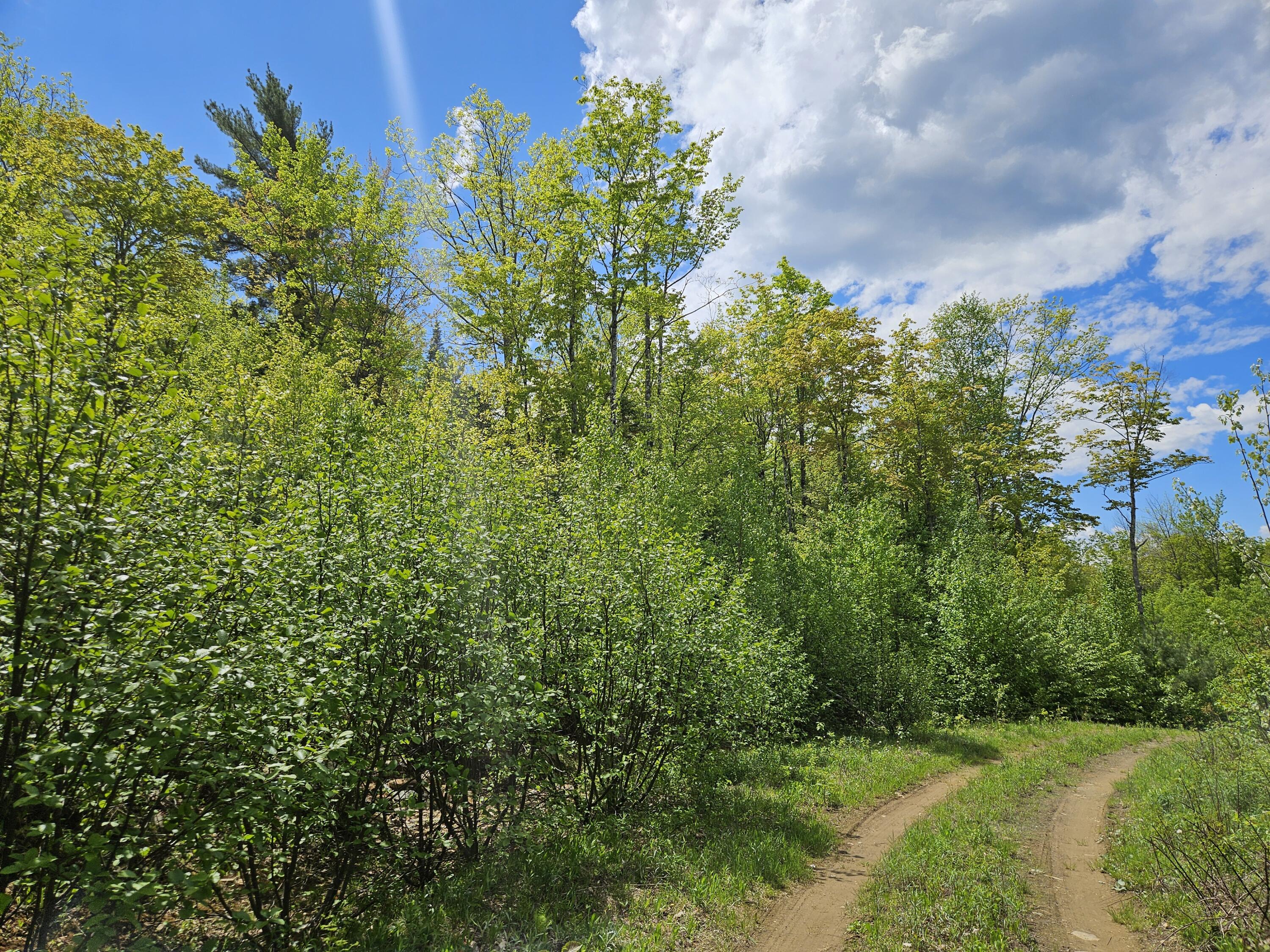 2 Mud Pond Road Madrid Township, ME 04966 - Photo 24 of 42 Madrid Lot