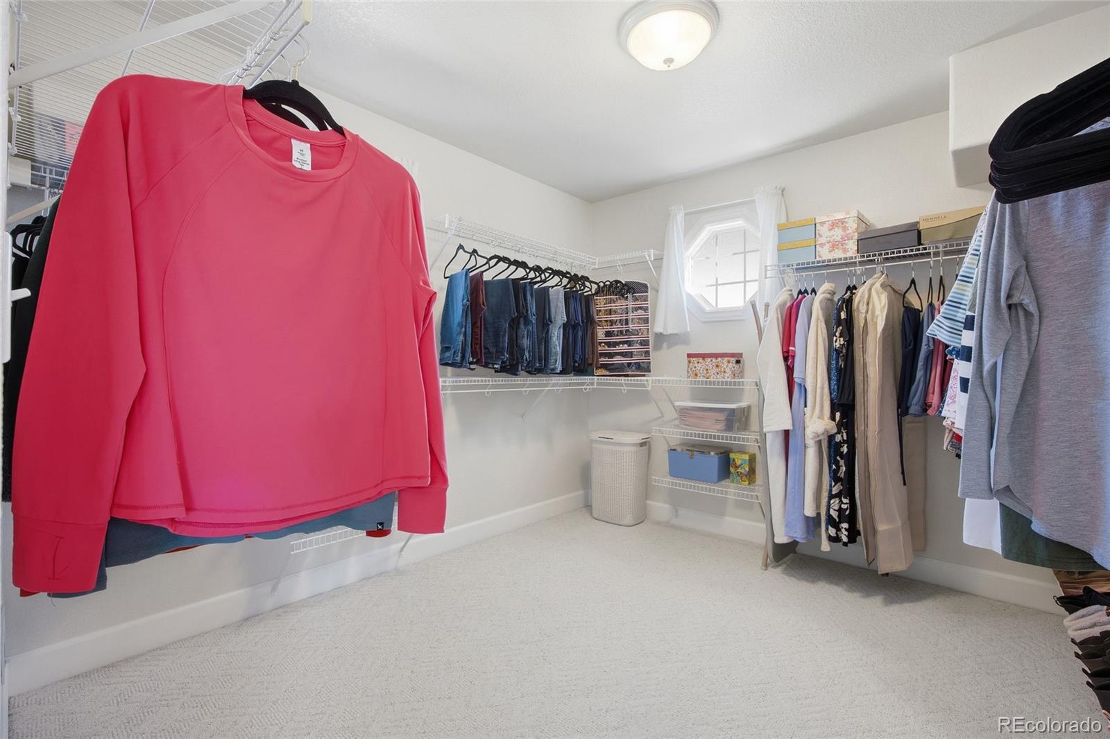 1229 Founders Circle Windsor, CO 80550 - Photo 22 of 45 a view of walk in closet with clothes and shoes