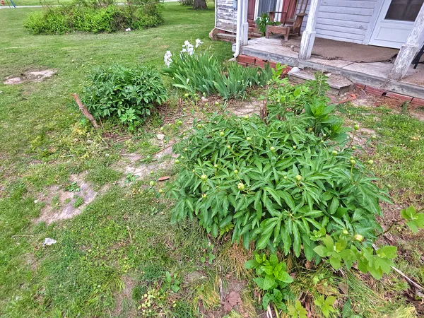 $29,500 | 202 East Park Street, Clay City, IL 62824
