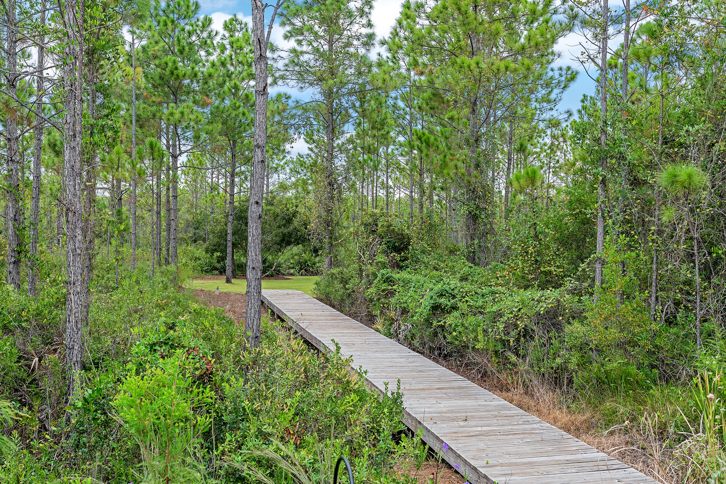 184 White Cottage Road, Unit LOT 15 Santa Rosa Beach, FL 32459 - Photo 13 of 58 DSC03723