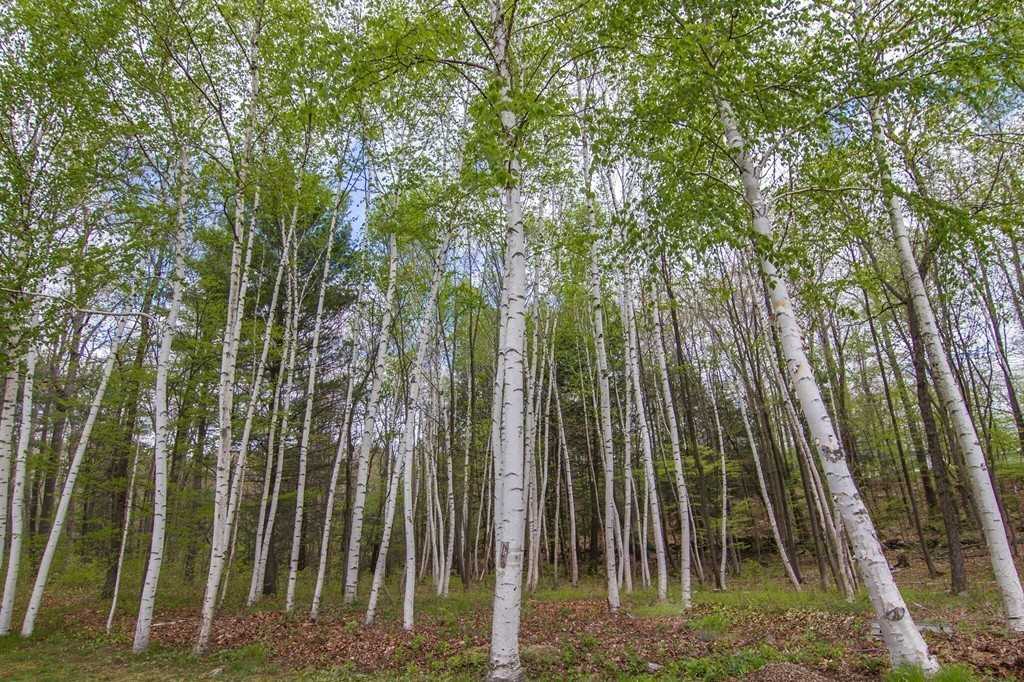 33 Town Farm Road Brookfield, MA 01506 - Photo 24 of 25