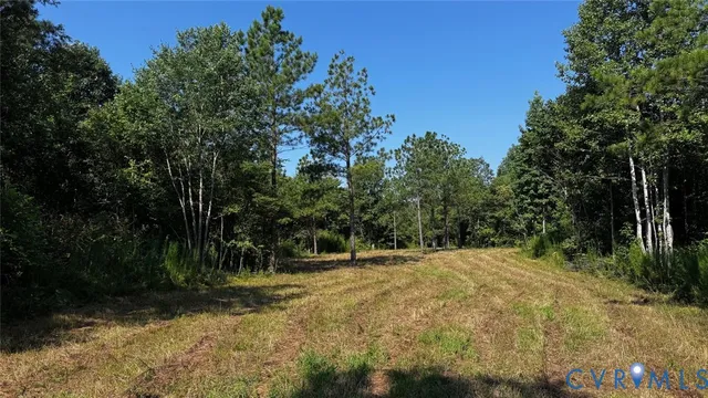 a view of outdoor space with trees