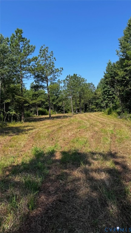 0 Old Shore Road Blackstone, VA 23824 - Photo 12 of 18 a view of a field with an ocean space