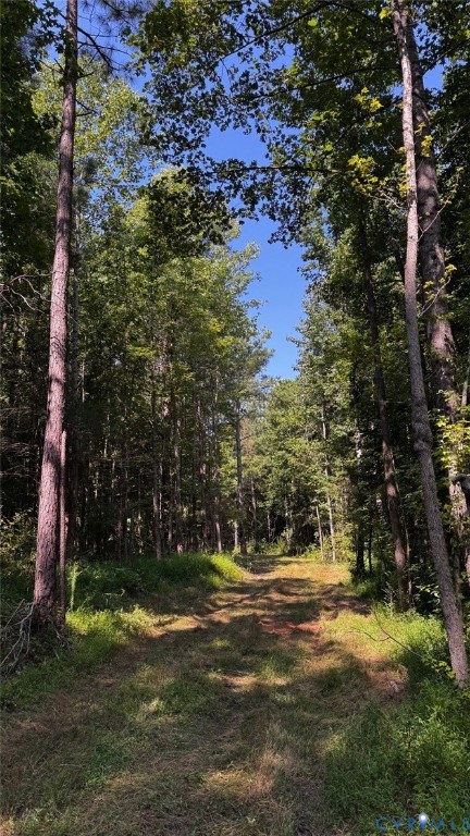 0 Old Shore Road Blackstone, VA 23824 - Photo 13 of 18 a view of yard