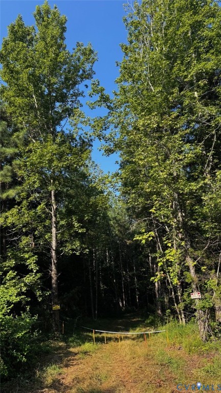 0 Old Shore Road Blackstone, VA 23824 - Photo 16 of 18 a view of outdoor space and yard