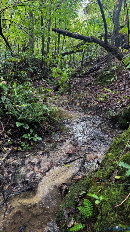 0 Old Shore Road Blackstone, VA 23824 - Photo 2 of 18 a view of a yard with plants and large trees