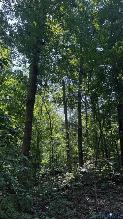 0 Old Shore Road Blackstone, VA 23824 - Photo 5 of 18 a view of forest