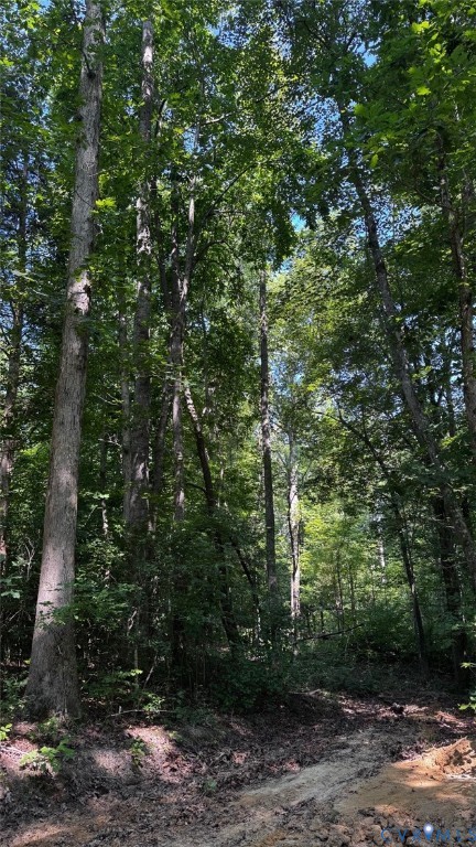 0 Old Shore Road Blackstone, VA 23824 - Photo 6 of 18 a view of a forest with trees in front of it