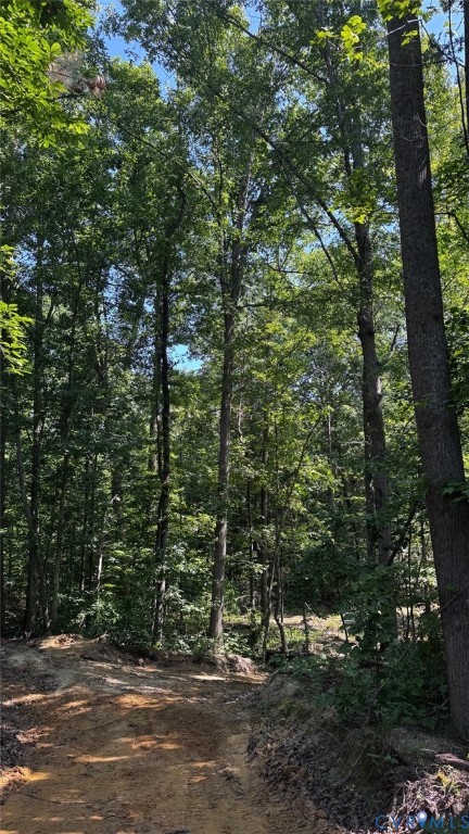 0 Old Shore Road Blackstone, VA 23824 - Photo 7 of 18 a view of outdoor space and trees