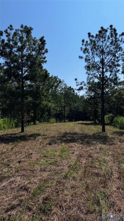 0 Old Shore Road Blackstone, VA 23824 - Photo 8 of 18 a view of outdoor space with trees