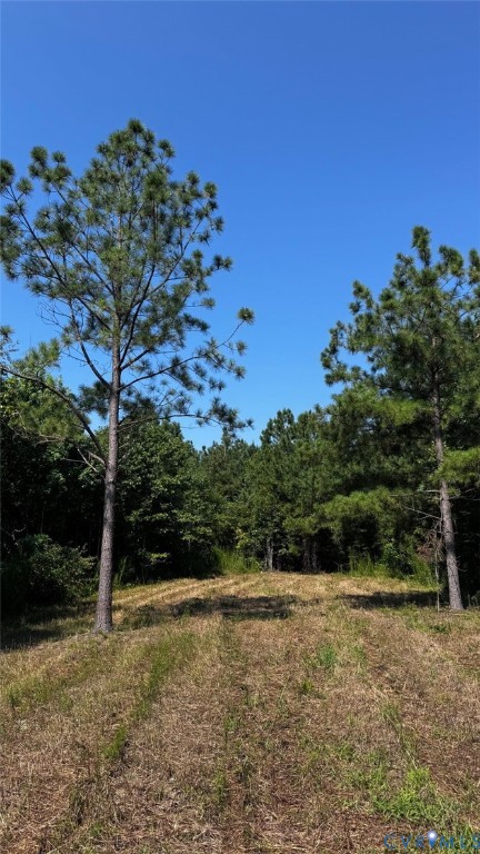 0 Old Shore Road Blackstone, VA 23824 - Photo 9 of 18 a view of a tree in a yard